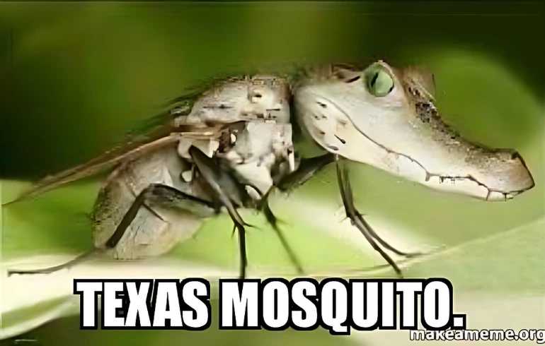 texas-mosquito